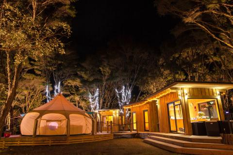 Kahikatea Farm at night