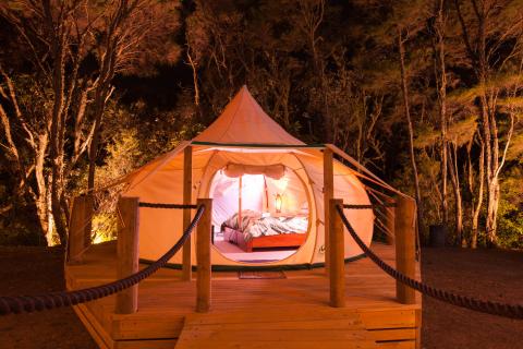  Kahikatea Farm tent at night