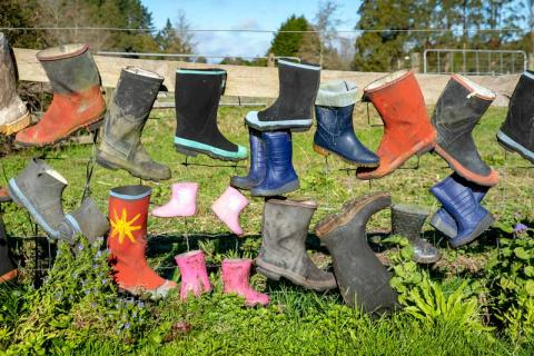 Gumboot Fence