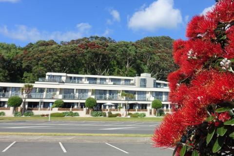 Pohutukawa and appartments