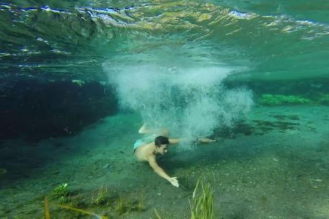 Swimmer diving into springs