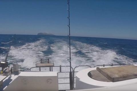 View of Whakaari from back of boat