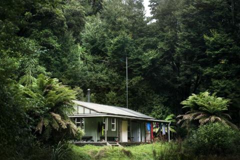 Central Whirinaki Hut_Neil Hutton