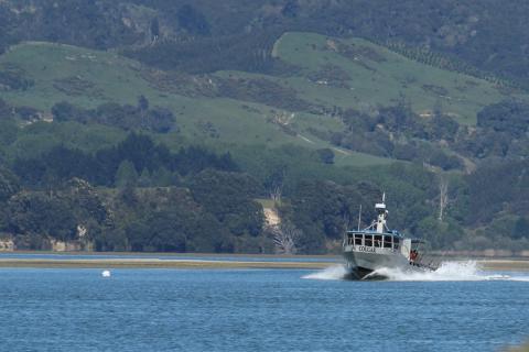 The Cougar on the harbour