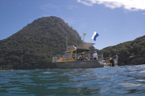 Diveworks boat at Moutohora