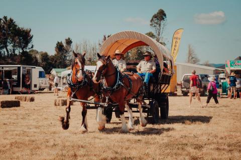 Wagon Rides