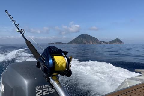 View from boat of Moutohora