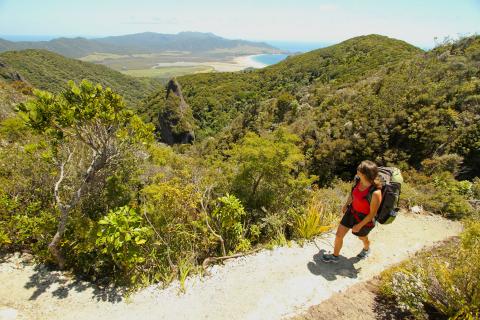 Great Barrier Island Escape