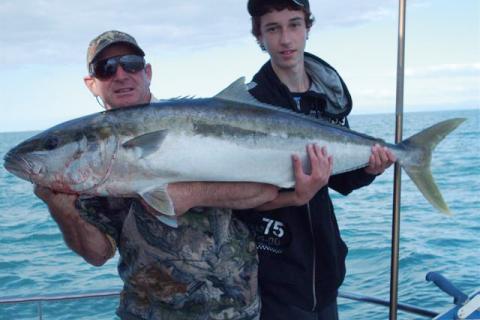 Kingfish Catch