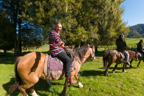 Manawa Honey - Horse Trekking - Bare Kiwi