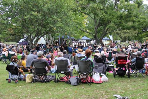 Jazz in the park crowd