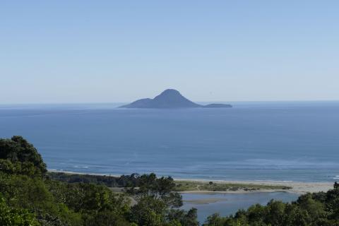 View of Moutohora from Kapu Te Rangi (Toi's Pa)