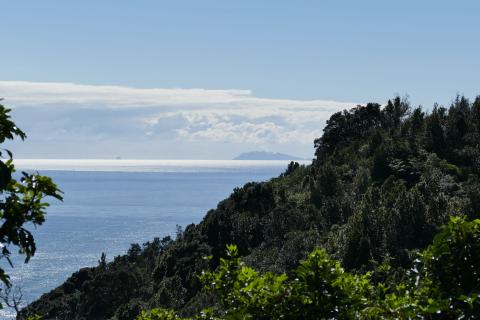 View of Whakaari