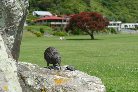 Kiwi and Pohutukawa tree