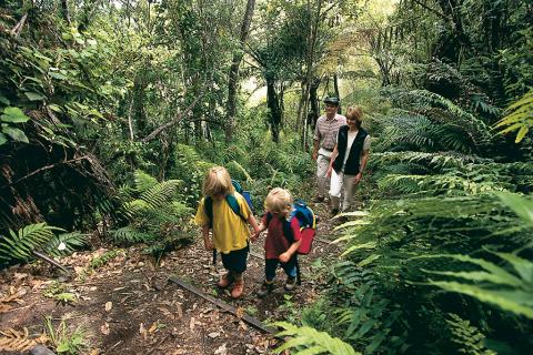 Family walking Latham's Track