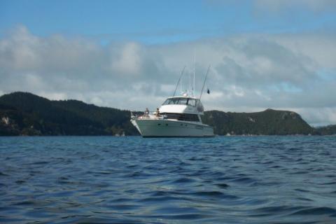 Mazarine Charters Boat