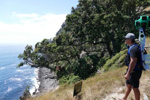 Trekker on Moutohorā / Whale Island