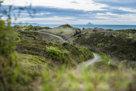 Motu Trails Cycleway