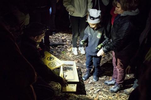 Kid looking at bugs on tour