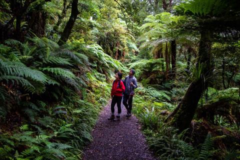 Couple walking in native bush