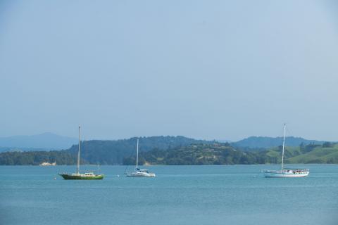 Sailing boats on Ōhiwa harbour