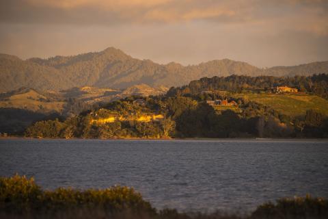 View of Ohiwa Harbour