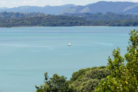 Sailing on Ohiwa Harbour