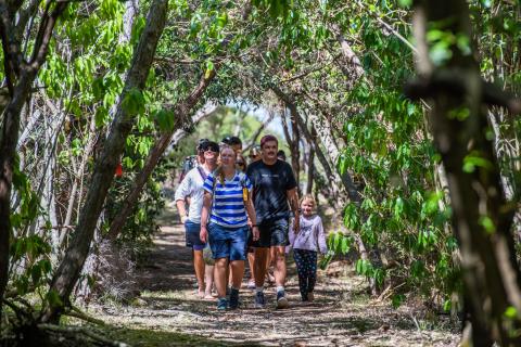 Walking through bush