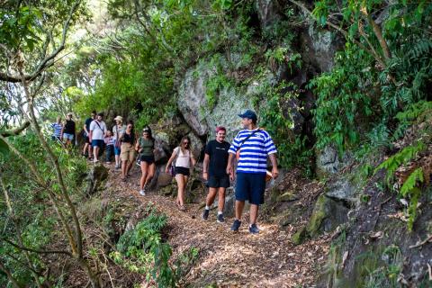 Tour on the island