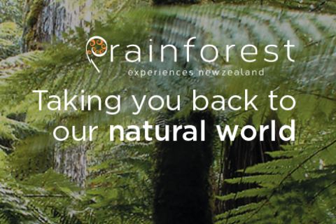 Rainforest Experiences New Zealand