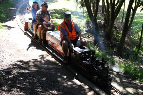 Train riding through bush