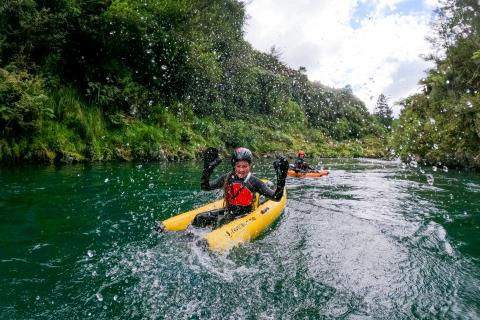 River Bug - Bare Kiwi - Te Urewera