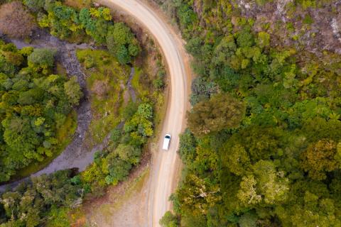 Te Urewera - Drone - BareKiwi