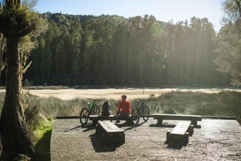 Whirinaki - Mountain Biking