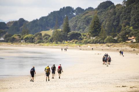 Walkers on Ohope Beach