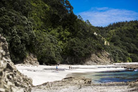 Walkers on Otarawairere Beach