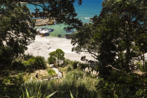 Track down to Otarawairere Beach