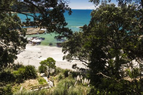 Walking access to Ōtarawairere Beach