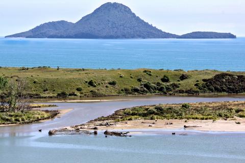 Te Toka site