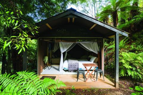 Glamping style bush camp