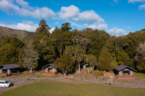 Ruatahuna Te Tii - Bare Kiwi