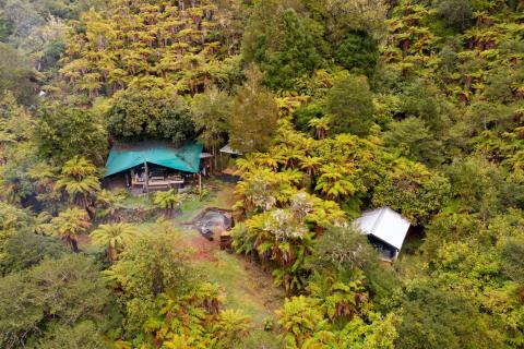 Te Urewera Treks - Bare Kiwi