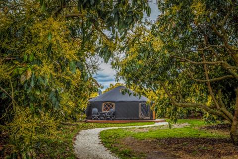 The Grove Homestay - Glamping site
