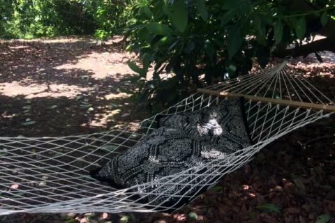 Relaxing Hammock