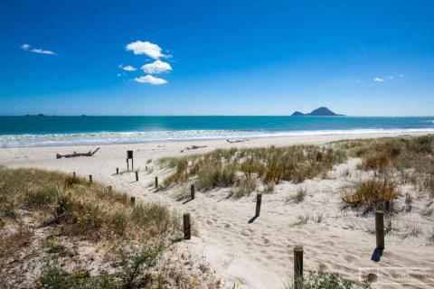 Beach with view of Moutohora