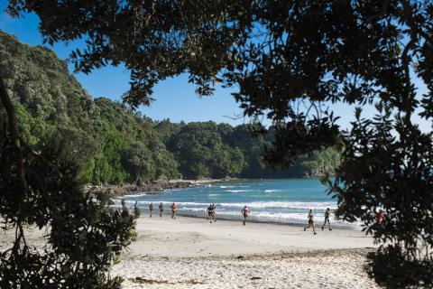 Otarawairere Beach and runners