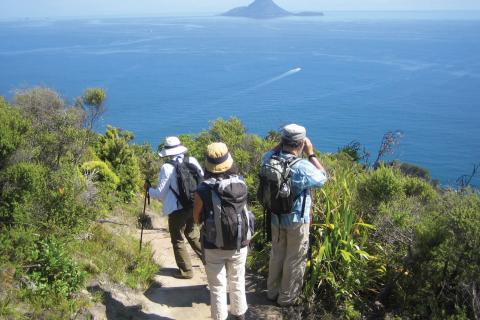 Nga Tapuwae o Toi Walkway