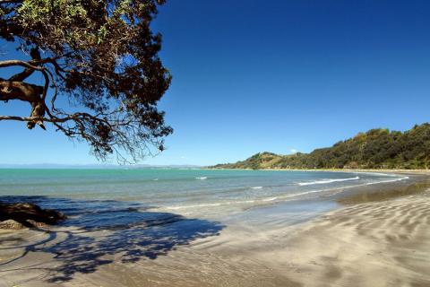 West End Ohope Beach