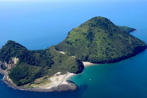 Moutohora Island from the air